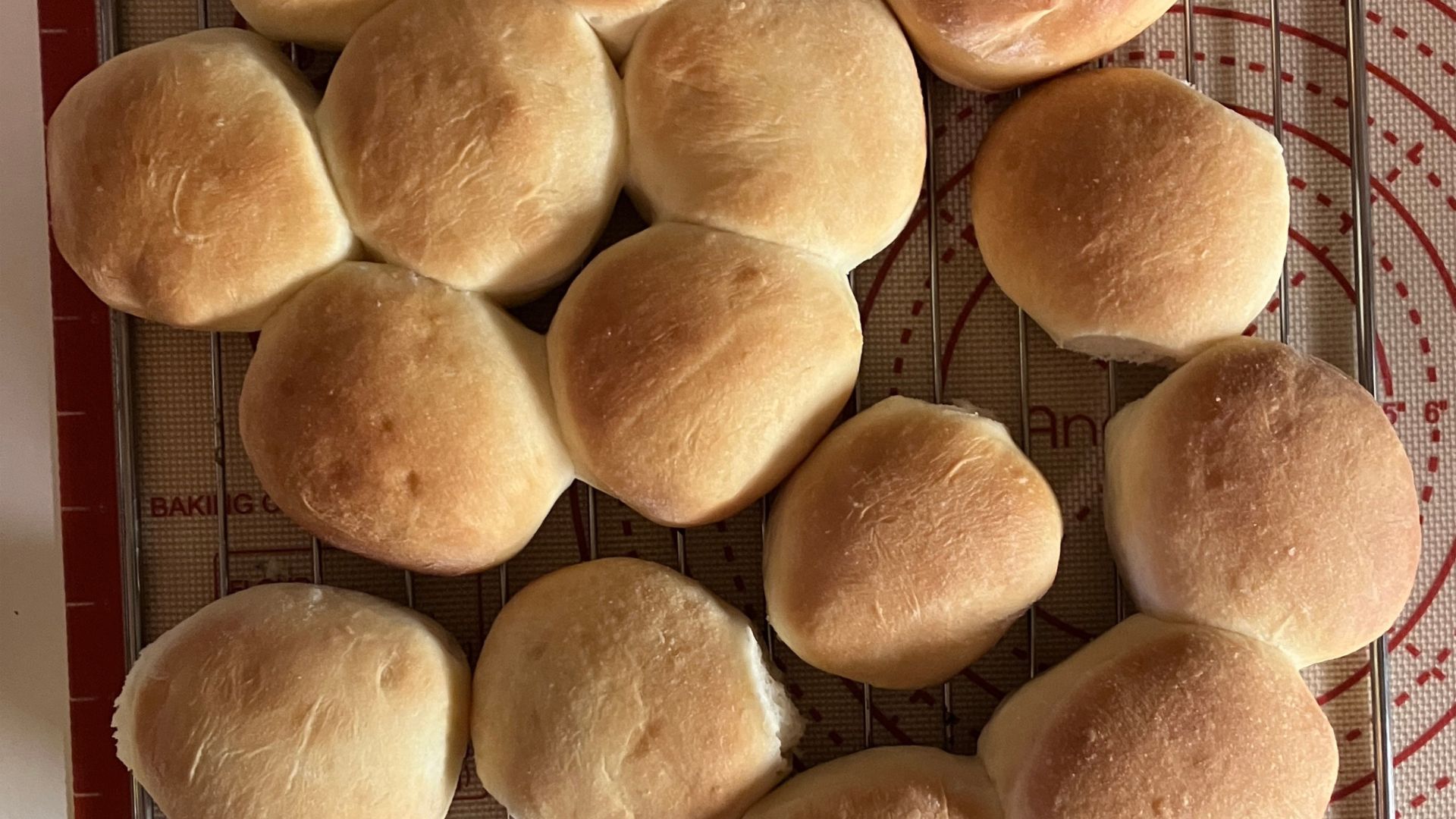 croppedbuns